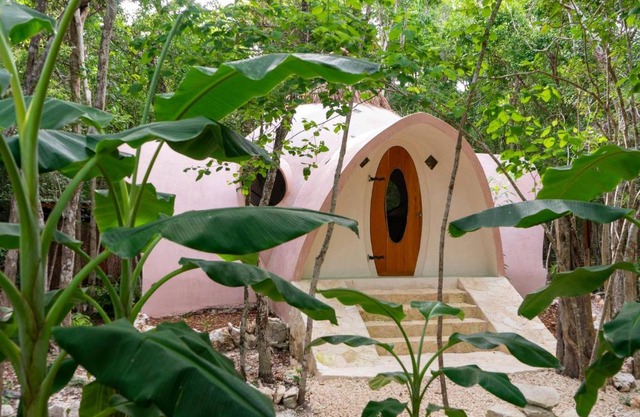 Unique Jungle Dome 2 Queen Beds