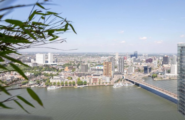Unique Penthouse Rotterdam Erasmus Bridge