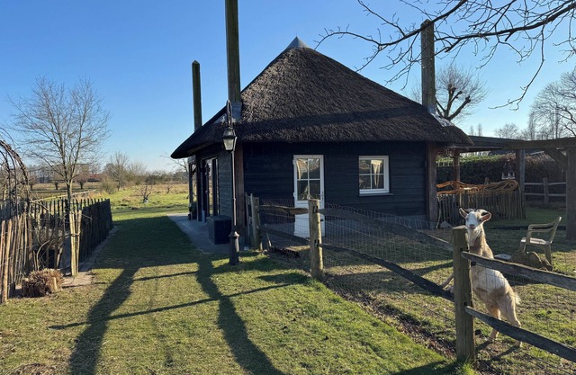 Unique stay in the middle of nature near National Park de Biesbosch