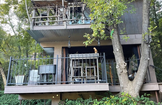 Unique Treehouse Studio with sunset views on large stocked pond. Private pier.