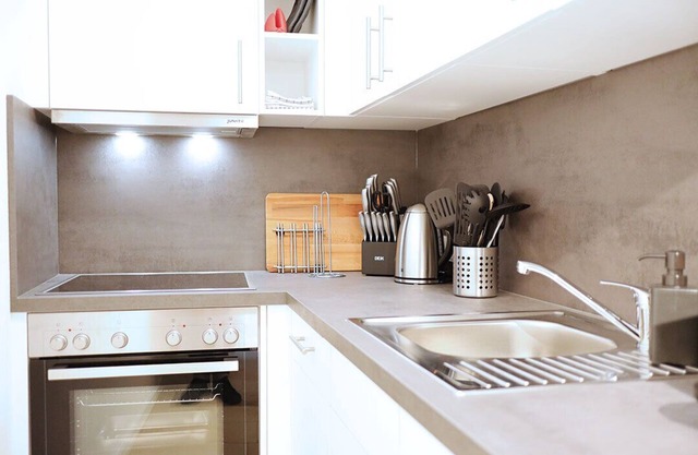 Unique vacation apartment W11.4 with a view of the Danube