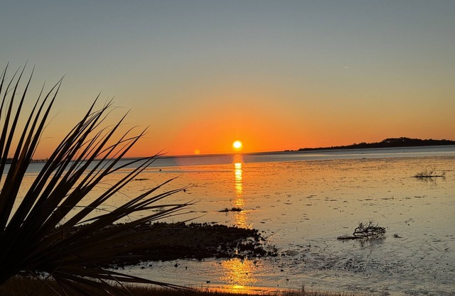 Unique water front paradise. Abundant wildlife and old florida personality .