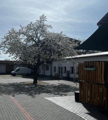 Unseburger Brauhaus GmbH Ferienwohnung 2