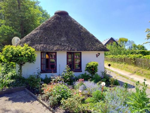Unser Froschhaus