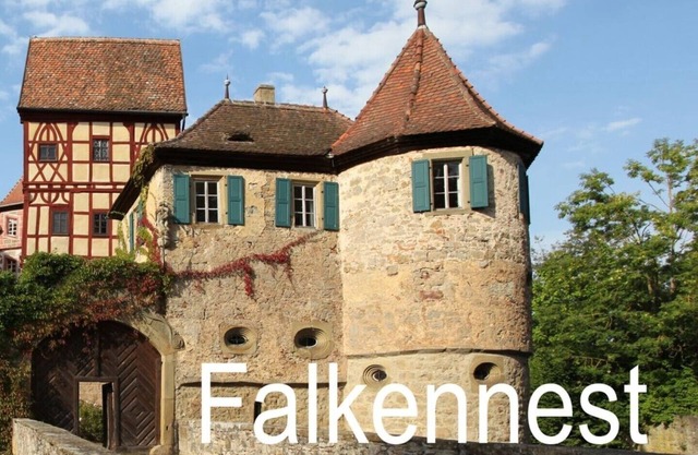 Unsleben moated castle, falcon's nest