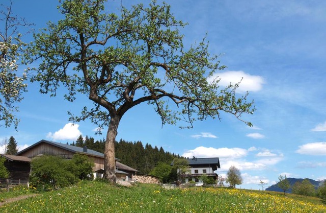 Unterhofgut
