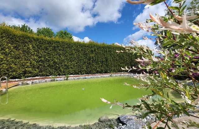 Unwind at the swimming pond