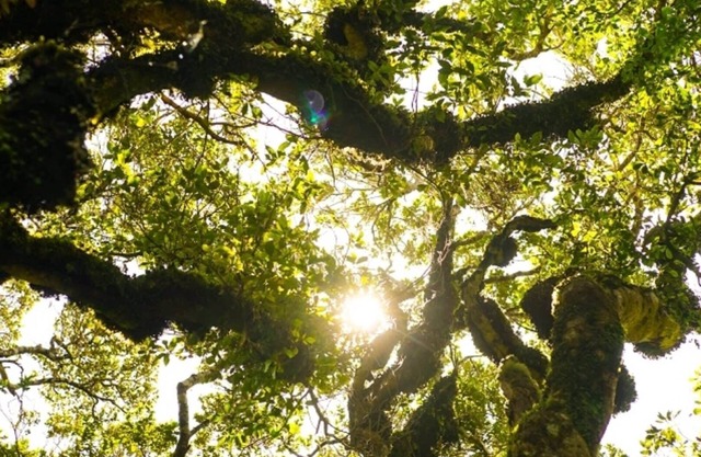 Unwind Taranaki Eco 
