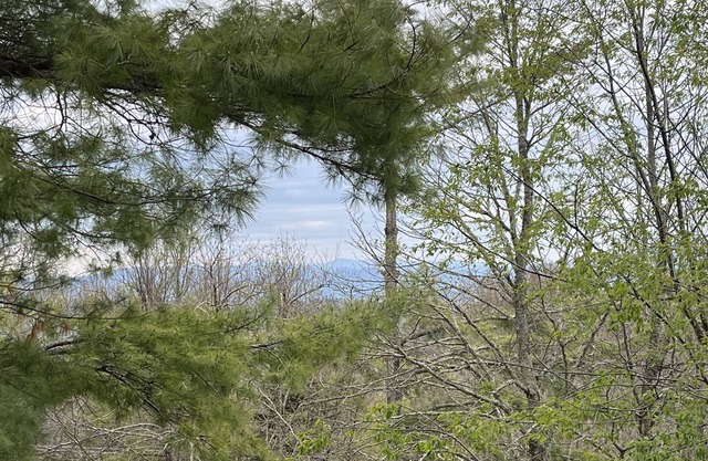 Updated condo, Walk to Beech Mountain Resort, Beautiful sunrise, Pet friendly
