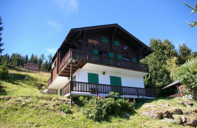Upper floor of cozy chalet with big balcony & stunning views