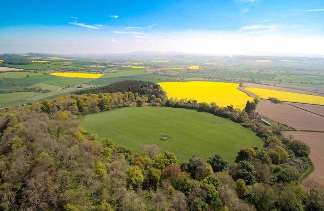 Upper Onibury Cottages