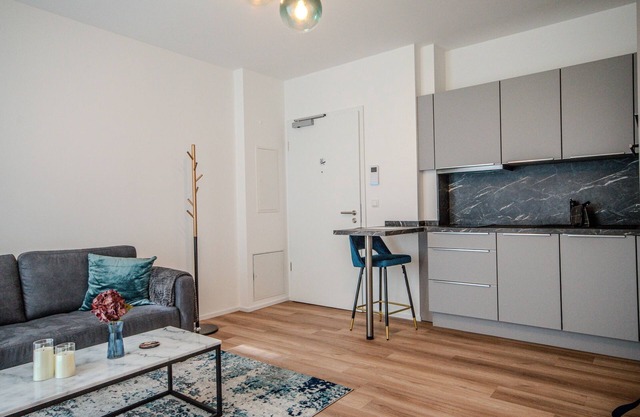 Upscale apartment with living area + kitchen