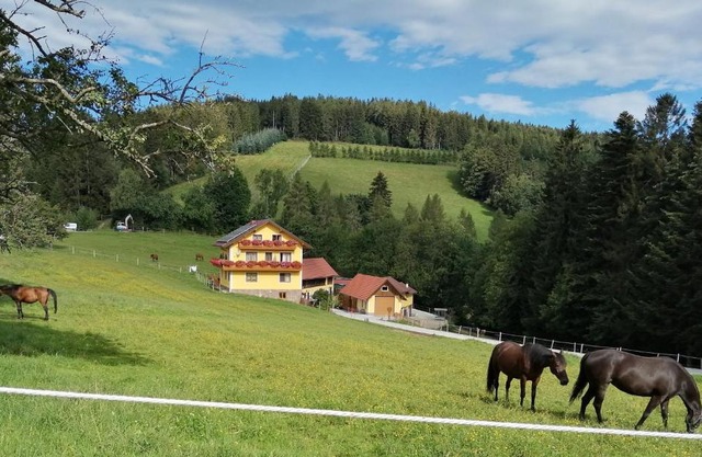 Urlaub am Bauernhof, Familie Kitting
