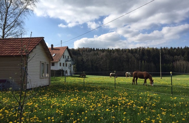 Urlaub auf dem Nikolinenhof - kl. Ferienhaus