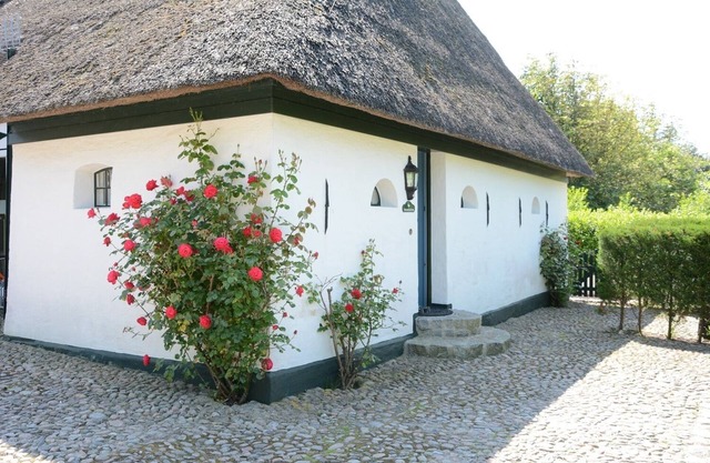Urlaub Unter Reet für Aktive Paare , Gerne Auch mit Kind und Hund!