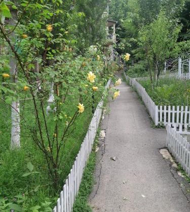 Vələs Garden