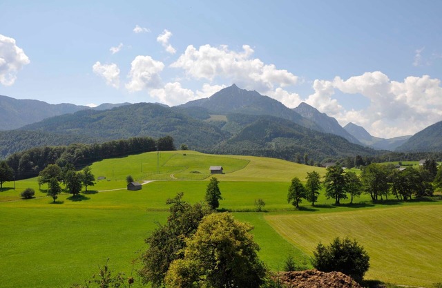 Vacation apartment Rettenkogel - Maislbauer