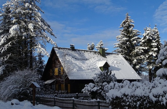 Vacation home in the forest near the Rennstein