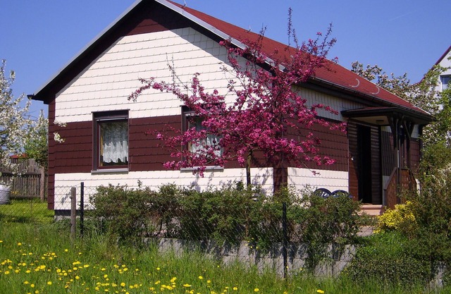 Vacation home for 3 guests with 55m² in Waltershausen OT Fischbach (110644)