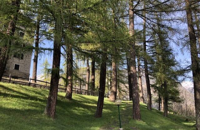 Vacanza in montagna nel verde