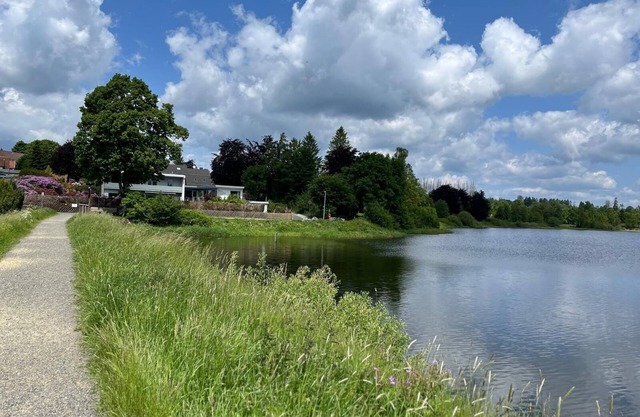 Vacation apartment/apartment for 4 guests with 84m² in Clausthal-Zellerfeld (297150)