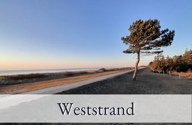 Vacation apartment/apartment for 6 guests with 120m² in Fehmarn OT Sulsdorf (157263)