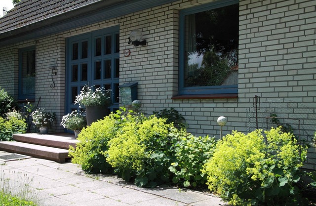 Vacation apartment/apartment for 2 guests with 47m² in Fehmarn OT Vitzdorf (92310)