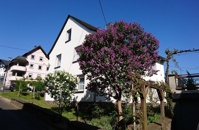 Vacation apartment Ewa -FeWo Poltersdorf
