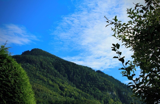 Vacation apartment Bergliebe, 90 m² for 2-4 persons, eat-in kitchen, bedroom, bathroom/WC, WLAN