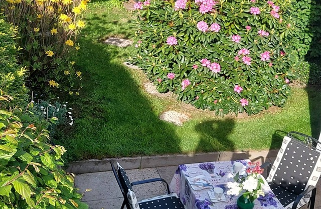 Vacation apartment Lüneburg Heath/Allertal - terrace/garden, heath park, bird park