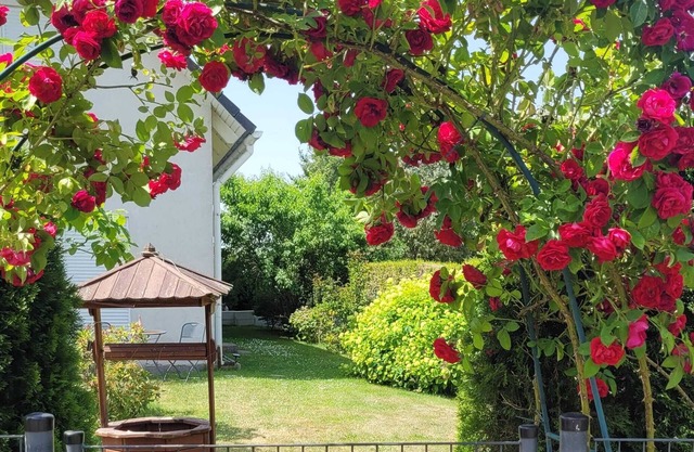 VACATION APARTMENT IN A RURAL LOCATION