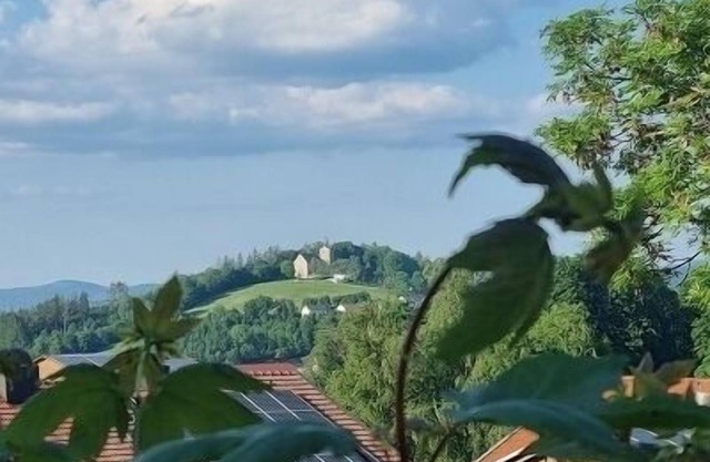 Vacation apartment/apartment for 2 guests with 44m² in Kirchberg im Wald (158944)