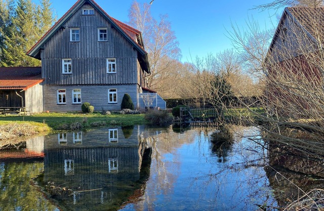 Vacation apartment Waldquelle in the old forester's lodge (Harz)