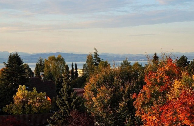 Vacation apartment/apartment for 3 guests with 60m² in Friedrichshafen (165546)