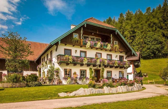 Vacation apartment Ellmausteinblick - Feel-good farm Bambichlgut