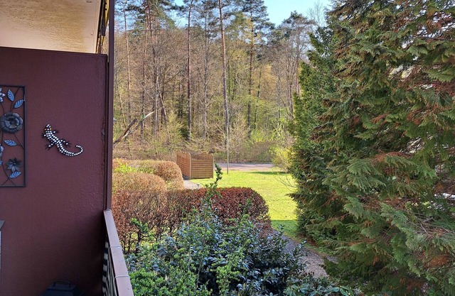 Vacation apartment/apartment for 2 guests with 39m² in Ludwigswinkel (270798)