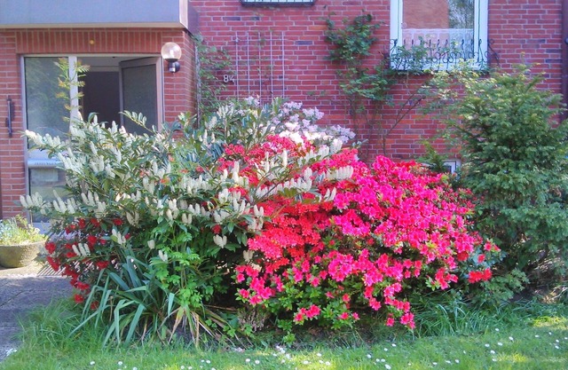 Vacation apartment close to the green city park, close to the harbor and water