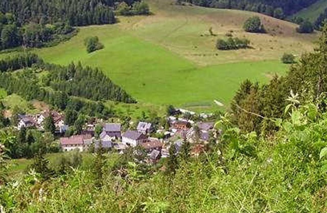 Vacation apartment 1 - Holiday home - Hotel Steiger