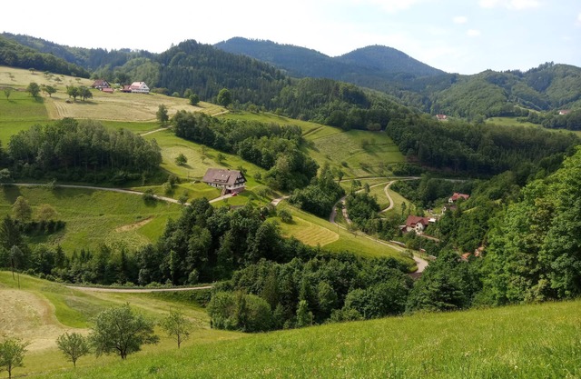 Vacation apartment/apartment for 4 guests with 64m² in Oppenau (158028)