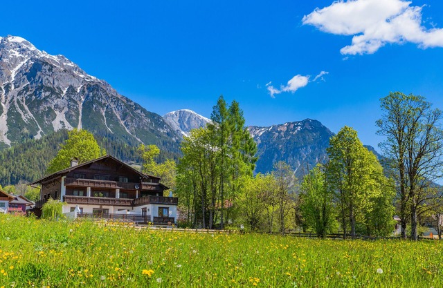 Vacation apartment/apartment for 3 guests with 32m² in Ramsau (147941)