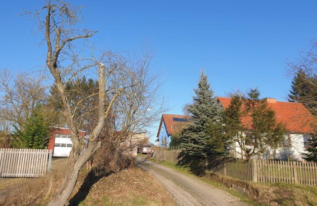 Vacation apartment/apartment for 4 guests with 50m² in Carlow (173012)