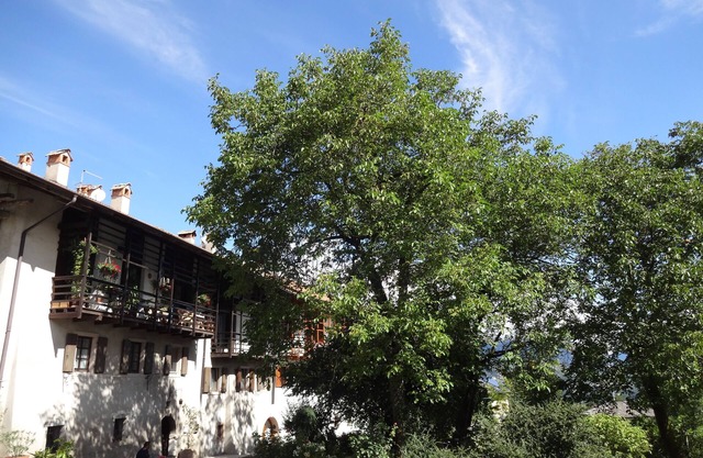 Vacation apartment between Lake Tenno and Terme Comano. CIN: EN022083C233BCYBM2