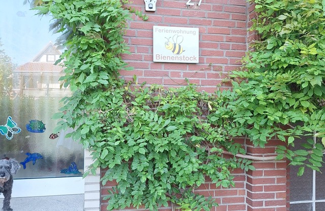 Vacation apartment Bienenstock, located in the countryside near the town of Kempen