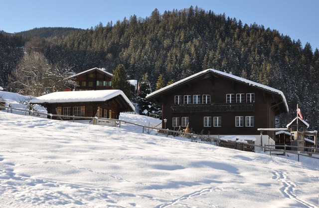 Vacation apartment in Grindelwald for 2-5 people in Chalet Adelheid