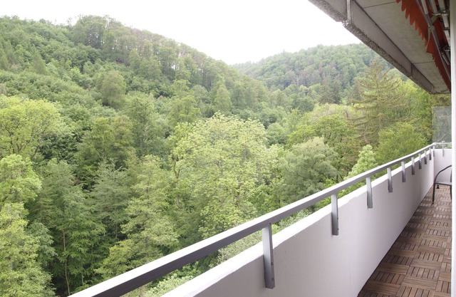 Vacation apartment GrünWald