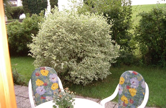Vacation Apartment Smandzik - Vacation Apartment