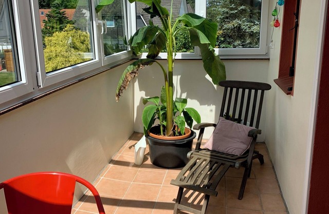 Vacation apartment with conservatory in Bremerhaven
