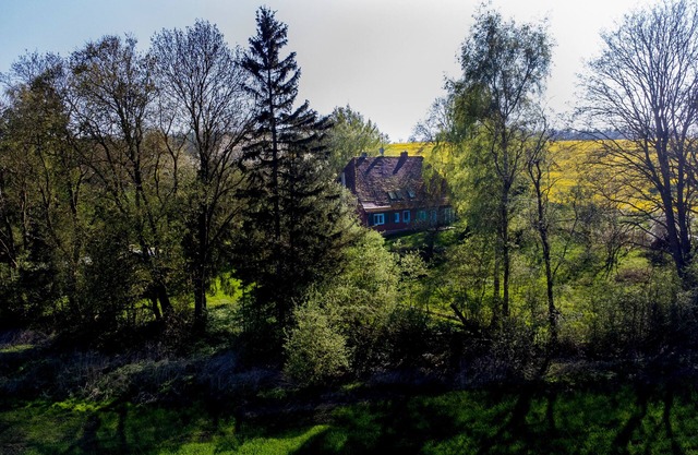 Vacation apartment/apartment for 2 guests with 35m² in Carinerland (295046)
