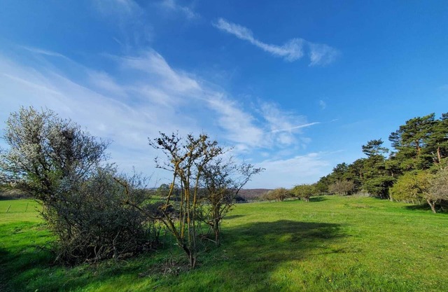 Vacation apartment "Ziegenvilla"! Vacation on a farm in the Eifel