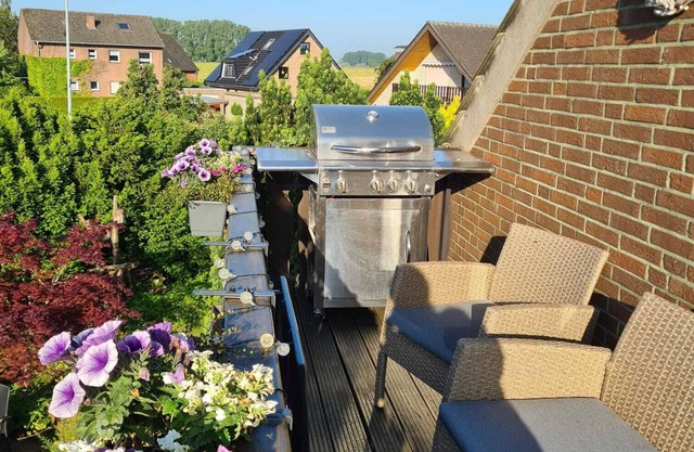 Vacation apartment Deichblick- directly on the Rhine